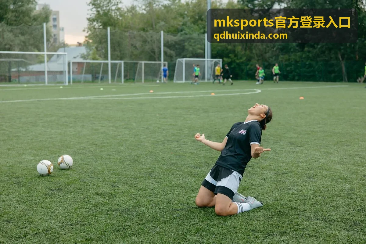 mksports官方登录入口身份验证步骤示意