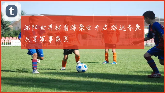沈阳世界杯看球聚会开启 球迷齐聚共享赛事氛围