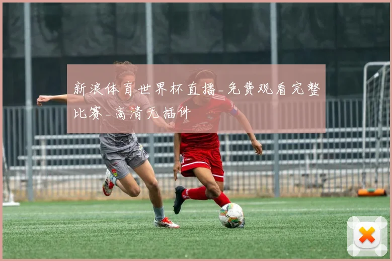 新浪体育世界杯直播_免费观看完整比赛_高清无插件