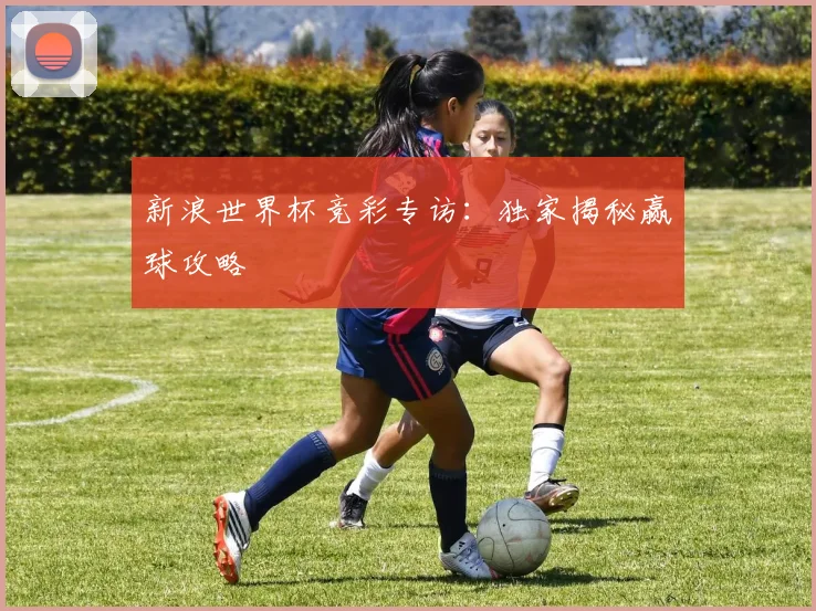 新浪世界杯竞彩专访:独家揭秘赢球攻略