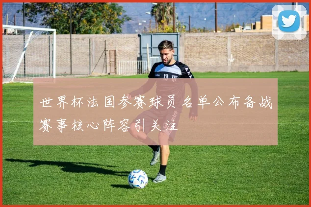 世界杯法国参赛球员名单公布备战赛事核心阵容引关注