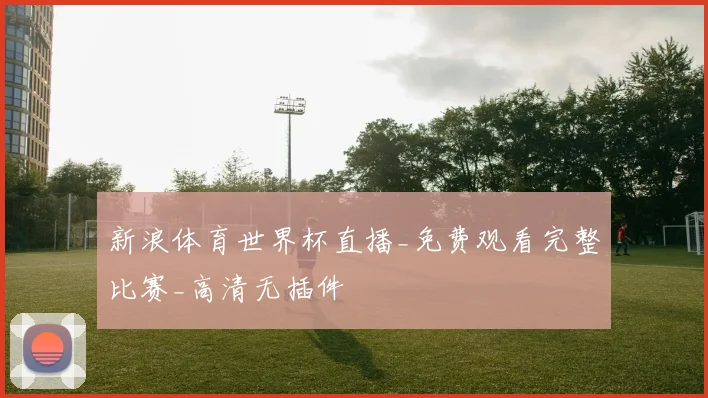 新浪体育世界杯直播_免费观看完整比赛_高清无插件