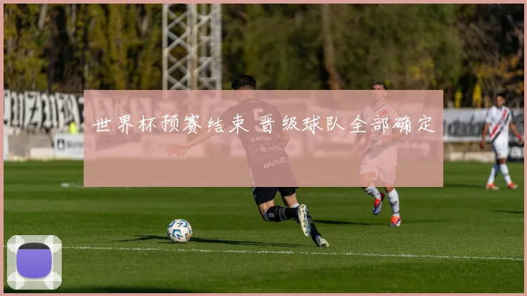 世界杯预赛结束 晋级球队全部确定