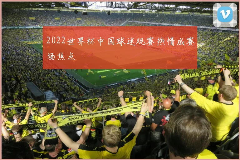 2022世界杯中国球迷观赛热情成赛场焦点