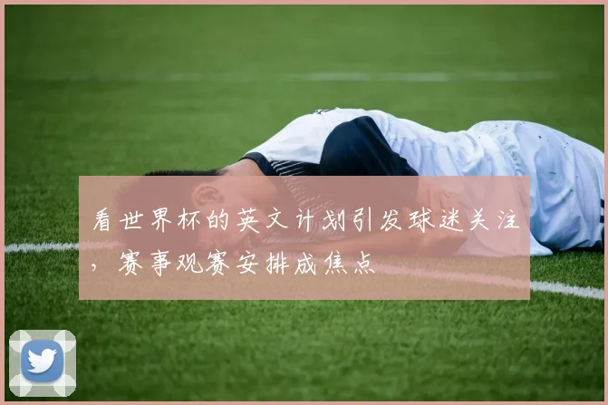 看世界杯的英文计划引发球迷关注,赛事观赛安排成焦点
