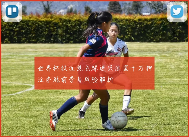 世界杯投注焦点球迷买法国十万押注夺冠前景与风险解析