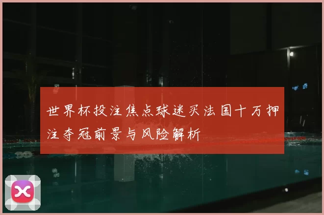 世界杯投注焦点球迷买法国十万押注夺冠前景与风险解析